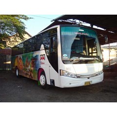 big bus