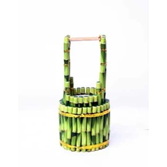 suji/ bambu hoki ( lucky bamboo) kr 525