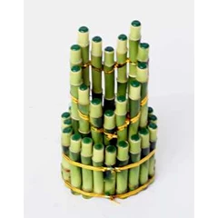 suji/ bambu hoki ( lucky bamboo) lv 214
