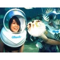 sea walker, jalan-jalan di dasar laut sampai kedalaman 8 meter