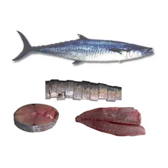 tenggiri (kingfish)