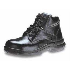 king' s( kws 803)