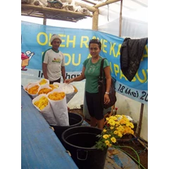 saya dan proses pengiriman