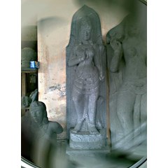 dewi padma