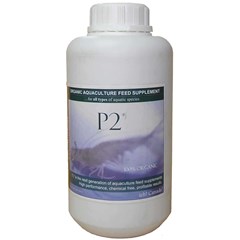 p2