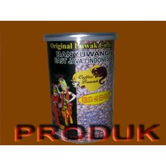 kopi luwak