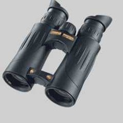 steiner discovery 10x44 