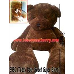 b580 ( teddy bear super giant)