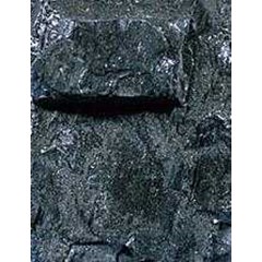 steam coal