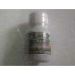 herba gurah yunior al-biruni