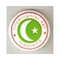 pin ic