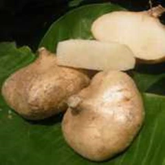 body mask bengkoang