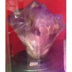 voucher isi ulang