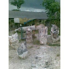batu  fosil  kayu