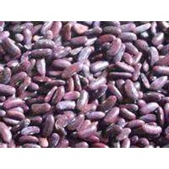 kacang merah ~ phaseolus vulgaris l.~ kidney bean~ indonesian kacang merah* * sms= + 6281326220589 * * sms= + 6281901389117 * * sms= + 6285876389979 * * nurida479@ yahoo.com
