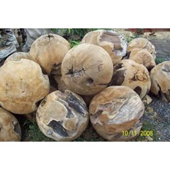 bola jati