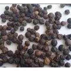 * * * * * supplier lada hitam / black pepper* * * * *