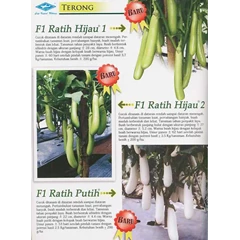 bibit terong, f1 ratih hijau 1 & 2, ratih putih
