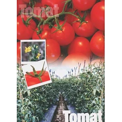 bibit tomat