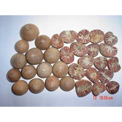 betelnuts
