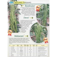 bibit kacang panjang, rembulan, dewi, maharani