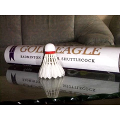 gold eagle aero no.5