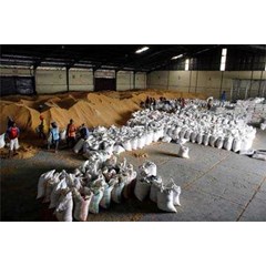 * * * * * supplier jagung pipilan kering* * * * * sni industri* * * * *