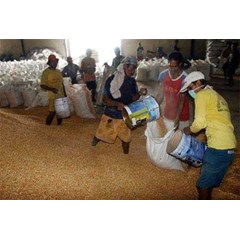 * * * * * supplier warehousing* * * * * jagung pipilan kering* * * * *