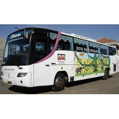 big bus