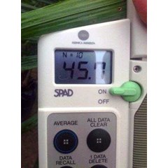 chlorophyl meter