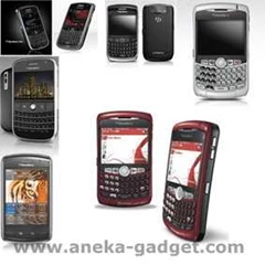 blackberry