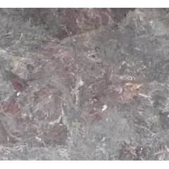 sargassum