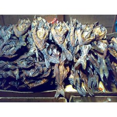 ikan baung asep