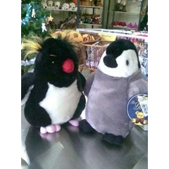 baby penguin