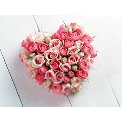 mau kirim hadiah valentine, karangan bunga, bunga papan, rangkaian bunga, boneka, parcel di bali...?
