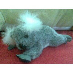 koala 3