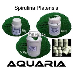 spirulina platensis aquaria