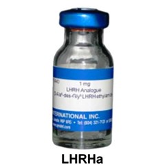 lhrha • argent laboratories from usa