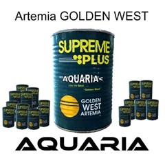 artemia • golden west supreme plus brine shrimp eggs artemia cysts