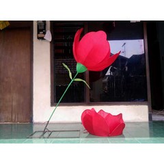 lampion bunga tulip