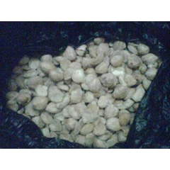 kemiri kupas dan kemiri gelondong