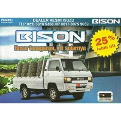 isuzu bison flat bed