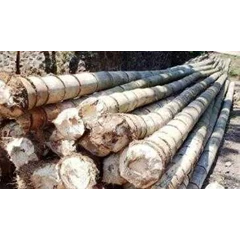 bamboo pole