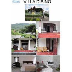 disewakan/ sewa/ rent villa dibino - villa batu, malang