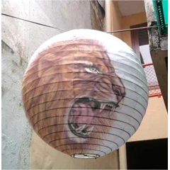 lampion bola diameter 50cm singa