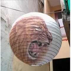 lampion bola singa