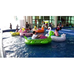 aqua boat / animal bumper boat