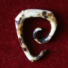 piercing, reings antique.