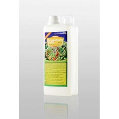 bregadium water pa-58