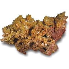 lanthanum & cerium